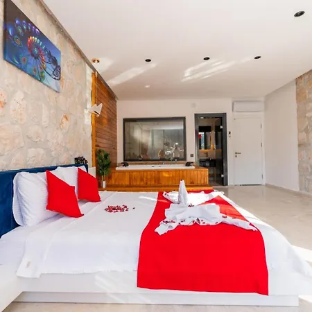 Hotel Vip