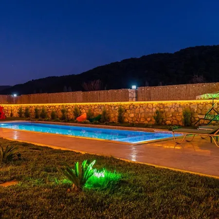 Vip Hotel